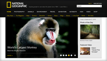 短信轰机轰炸app下载安卓手机